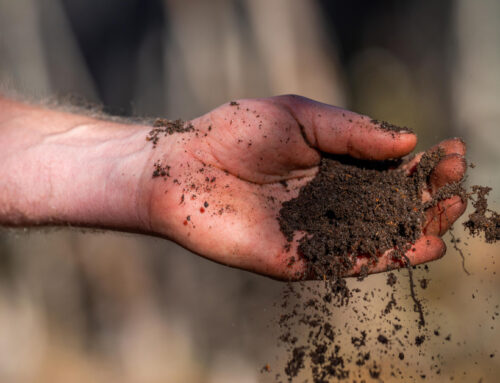 Fordulópont előtt a magyar agrárium